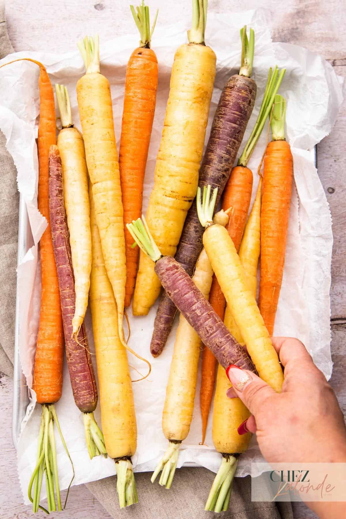A hand is holding a purple and yellow carrots. A tray of rainbow carrots are sitting on the baking tray layered with parchment papers. 
