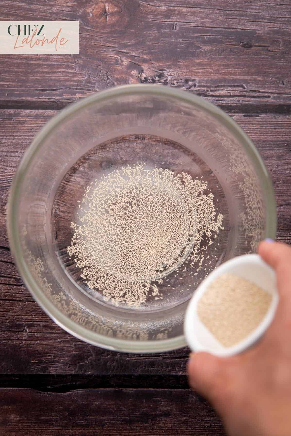 add active dry yeast into lukewarm water.