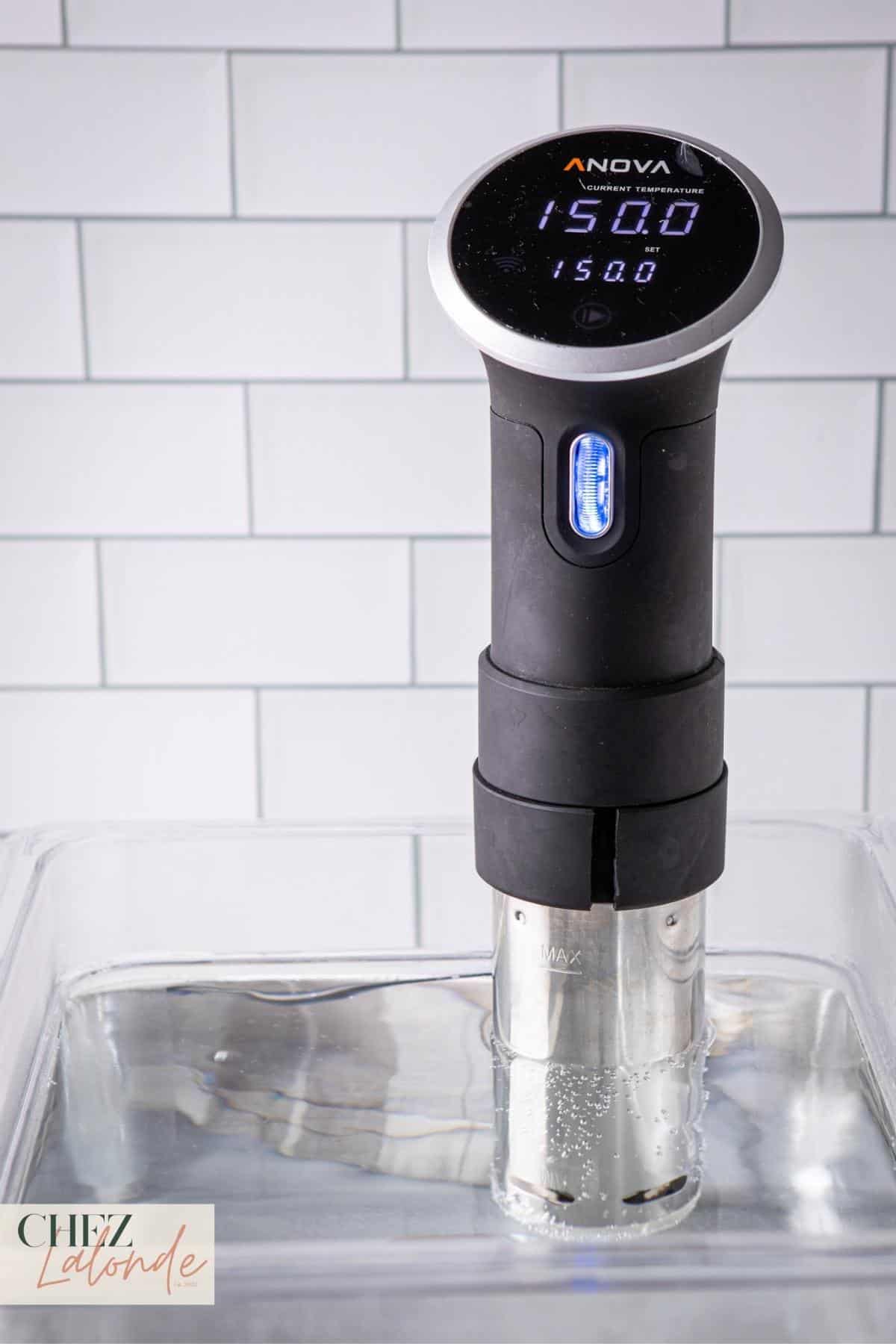 Pour water into a Sous Vide container or a spacious and deep soup pot. Gently insert your immersion circulator, ensuring it's securely in place, and set the cooking temperature to 150°F/66°C.
