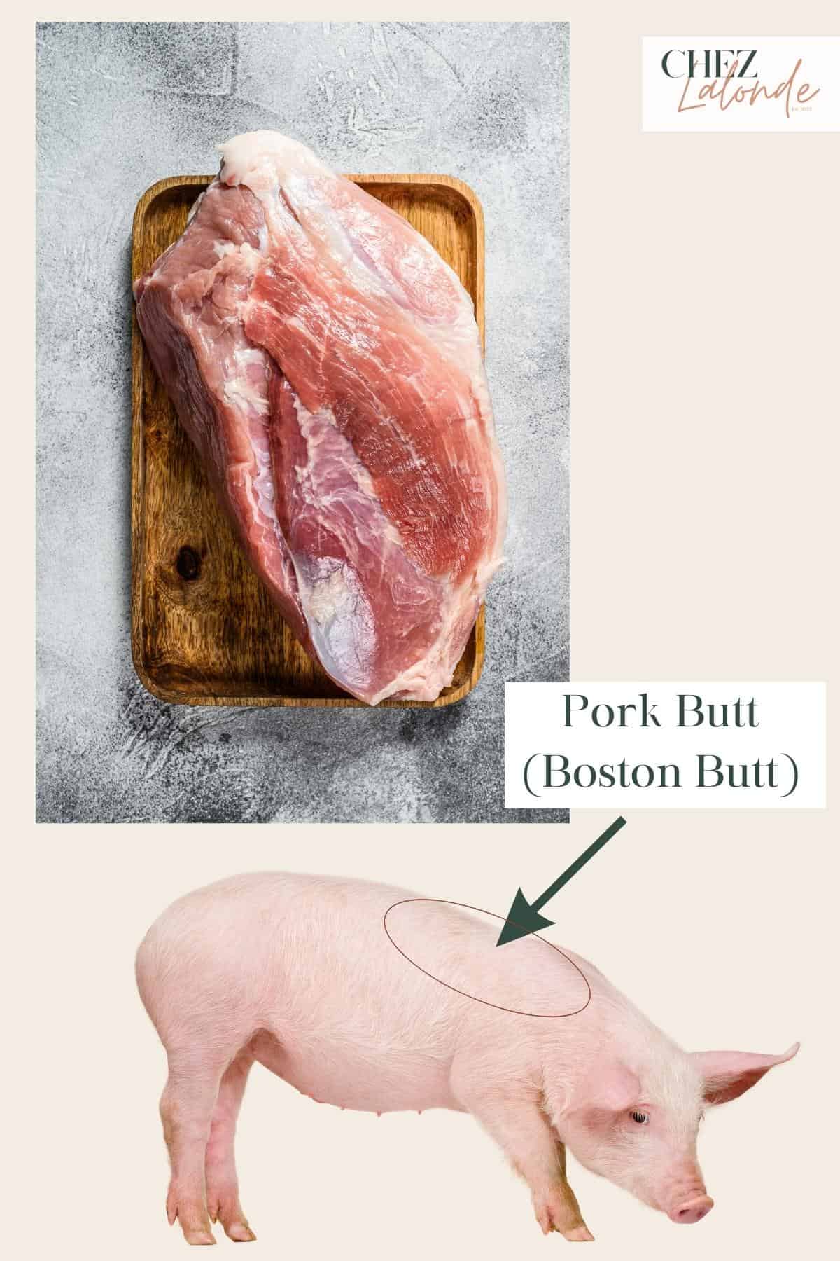 A photo that demonstrate what a piece of pork butt looks like and the location of the cut on a pig. 