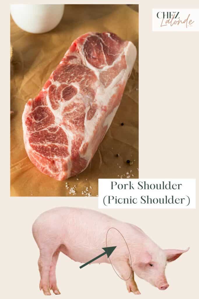 A photo that demonstrate what a piece of pork shoulder looks like and the location of the cut on a pig.